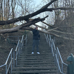 BOSSTKONSI