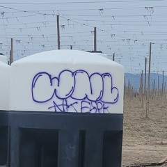 ChapKillerValley WNL