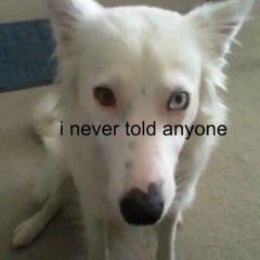 Алиса Валентайн