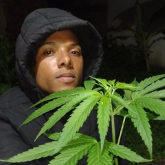 WENDEL BQN