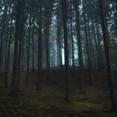 пароль 60
