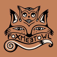 Fox Meet Owl