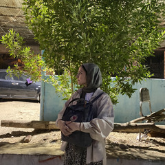 Mai Farouk
