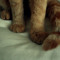 grrrrtw