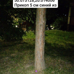 szzkyj