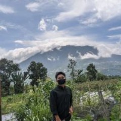 Ardy Ansyah Pamela