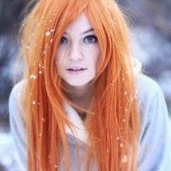 верона лива