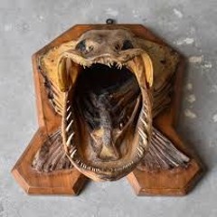 Mr. mad pike