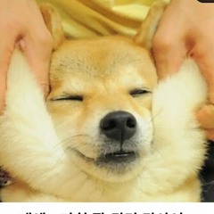squishy marshmallow