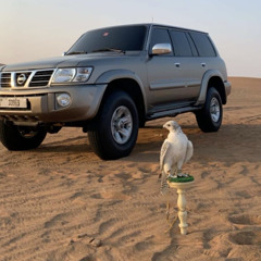 Humaid Al shamsi