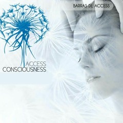 FlorAccessConsciousness