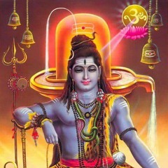 Praveen Shetti