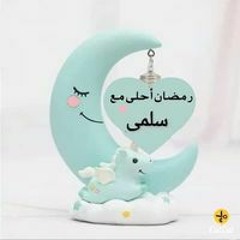 Soly Mohamed Hamdy