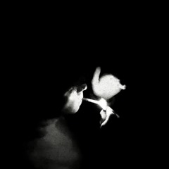 ‎claurence