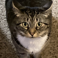 Kitzyy_