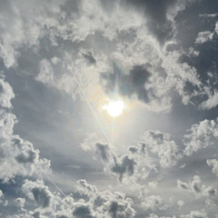 please hit me with your car