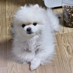 ㅇㅅㅈ