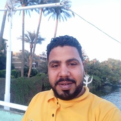 dr.mahmoud elsherbini