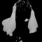 ravensorrow