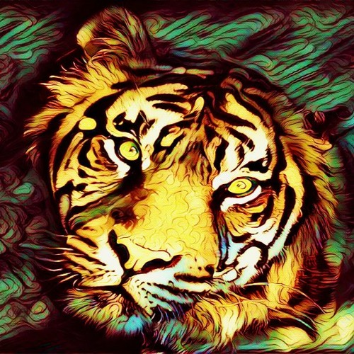 =  TiGERAi  =’s avatar