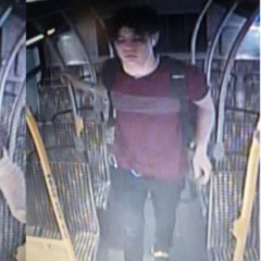 lipgloss princess paparazzi instrumental