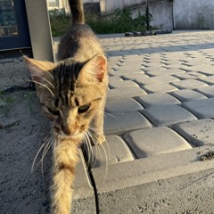 KiriO