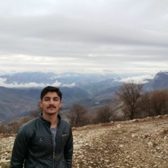 yousef