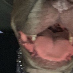 noeyes!