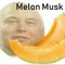 Melon Musk 👍