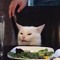 Demian gato