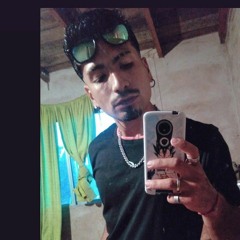LedgerZed