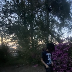 xojordo
