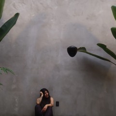 KoiSd∆