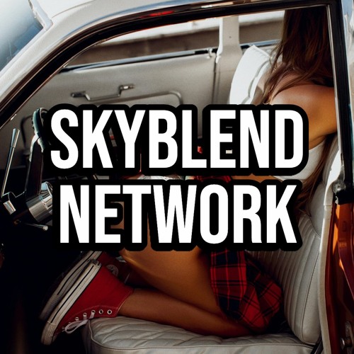 SKYBLEND Network’s avatar