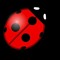 Lovely__bug_x1x2