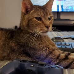 Lynx
