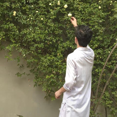 sameer afghan