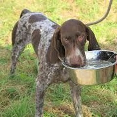 Onkel Øyvind Records