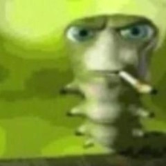 l0rd_why