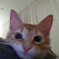 ss