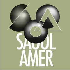 Saool Amer