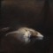 AuthorziedNull