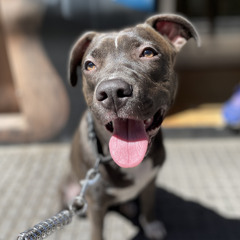 David Garcia Peñacoba