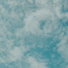 Tasneem