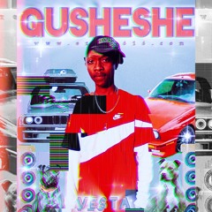 VE$TA_Rsa
