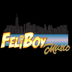 feliboy music