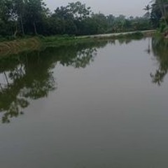 Hồ Câu Khoái Châu