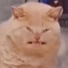 甘いメロディー