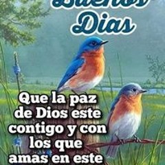 Mono con sueño