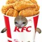 imchickenbro